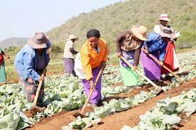 Community Development Fund